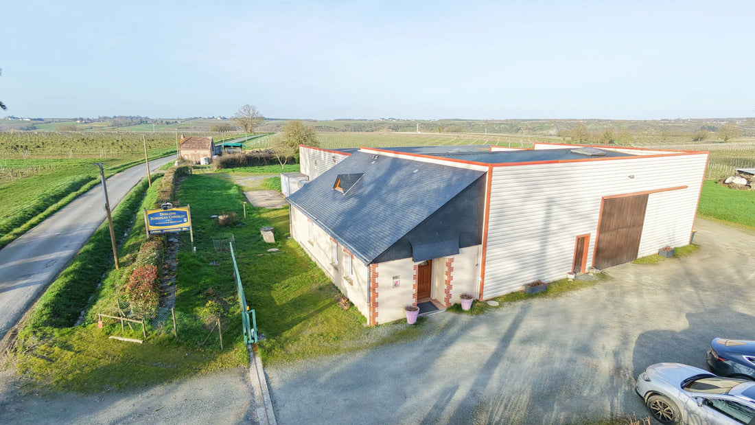 Découverte des Vins d'Anjou au Domaine Robineau Chrislou : Du Vigneron à Votre Table