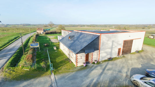 Découverte des Vins d'Anjou au Domaine Robineau Chrislou : Du Vigneron à Votre Table